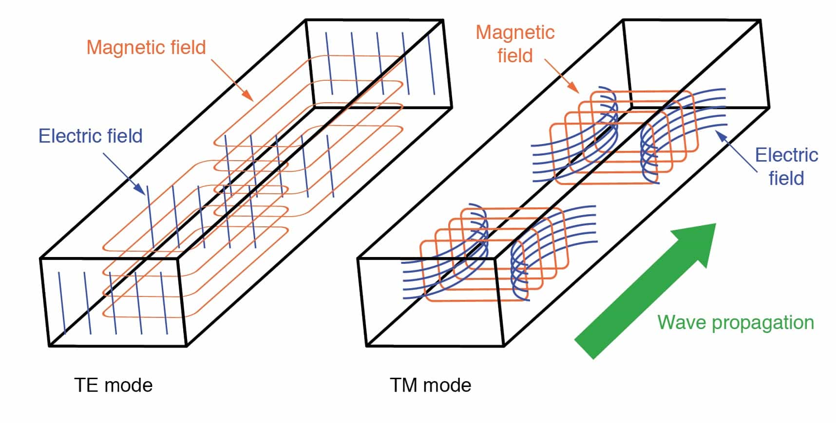 Electric and magnetic fields in TE and TM modes